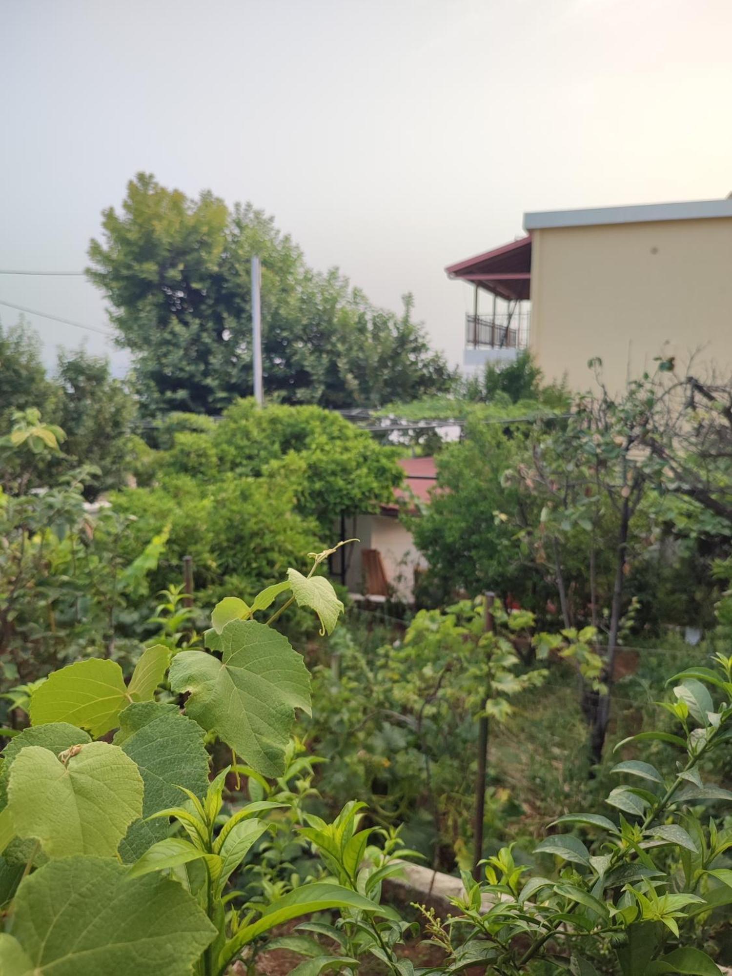 Villa Janilla Dhërmi Zewnętrze zdjęcie
